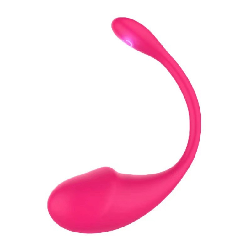 Wireless Love Egg G-spot Stimulator